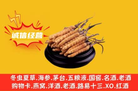 吐鲁番回收冬虫夏草